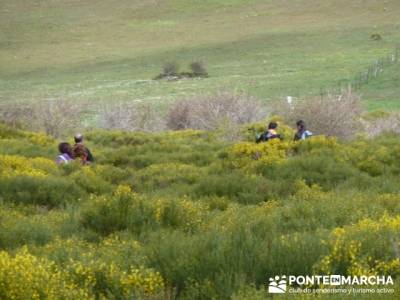 Ruta de Senderismo - Altos del Hontanar; rutas a pie